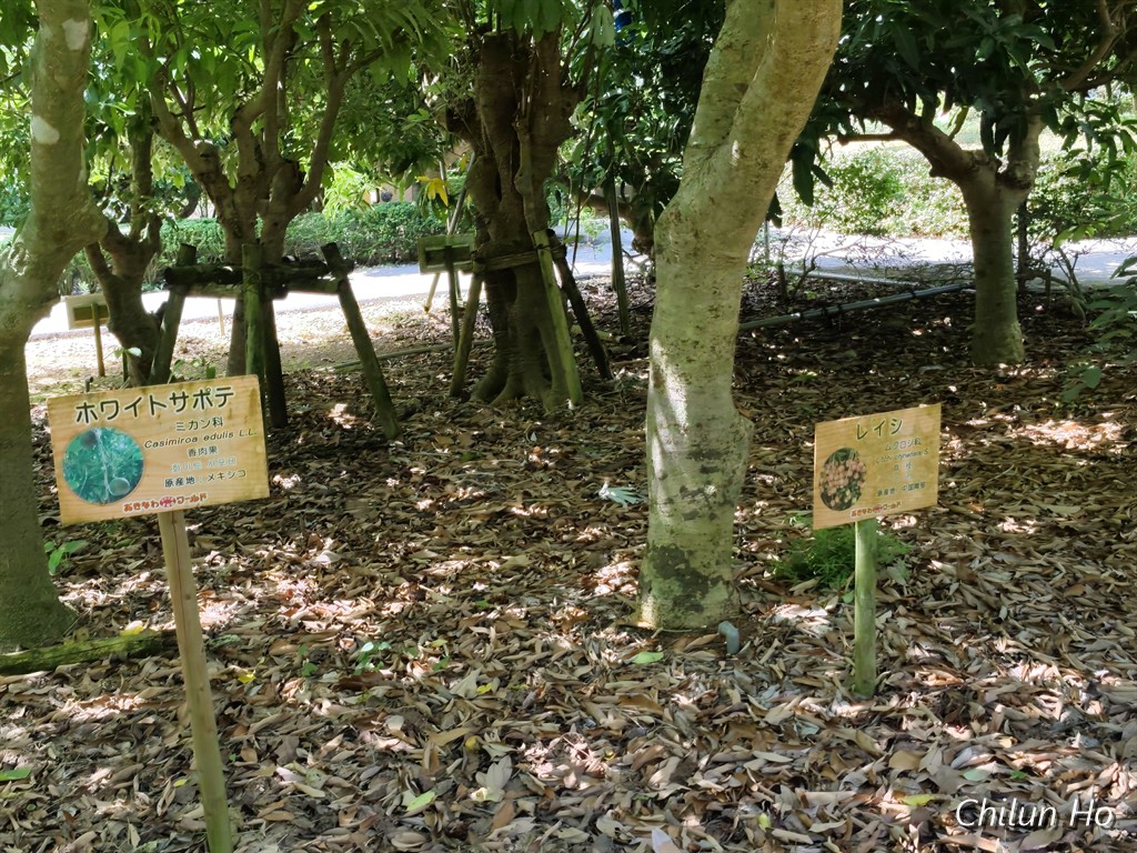 フルーツパーラー